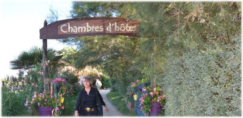 Gites Chambres D'Hotes Mazet Du Marechal Ferrant Сент-Мари-де-ла-Мер Экстерьер фото