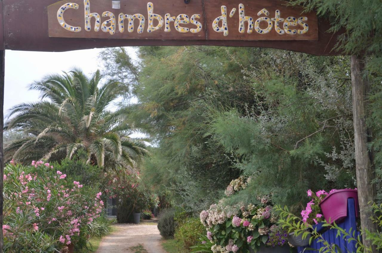Gites Chambres D'Hotes Mazet Du Marechal Ferrant Сент-Мари-де-ла-Мер Экстерьер фото